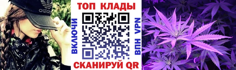 Купить закладку КОКАИН  Марихуана  Меф мяу мяу  A PVP  Гашиш  Злынка