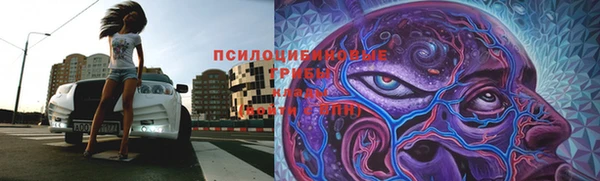 гашик Богданович