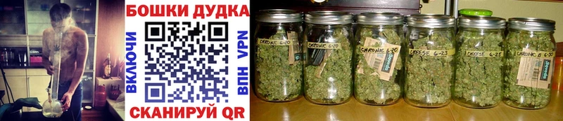 Купить закладки  Злынка  Марихуана конопля 